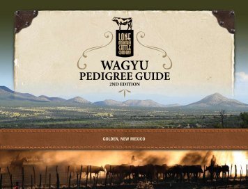 PEDIGREE GUIDE - The Lone Mountain Cattle Company