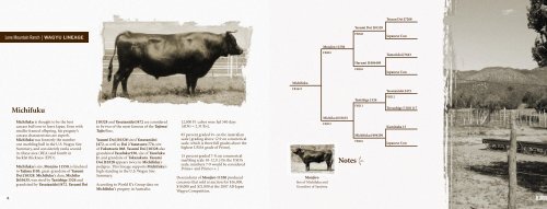 PEDIGREE GUIDE - The Lone Mountain Cattle Company