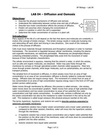The Yellow Wallpaper Essays Osmosis Lab Report Business Essay Writing also Essay On Pollution In English Egg Osmosis Essay Student Life Essay In English