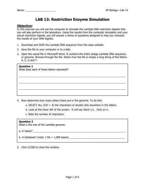 lab 13 restriction enzyme simulation