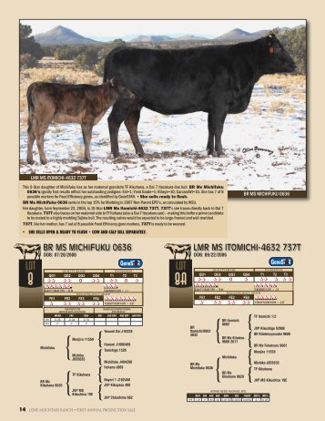 LMCC Catalog Pages 14-26 - The Lone Mountain Cattle Company