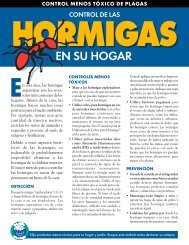 hormigas