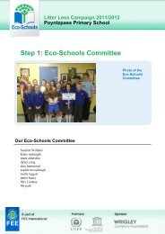 Step 1: Eco-Schools Committee - Litter Less Campaign