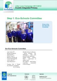 Step 1: Eco-Schools Committee - Litter Less Campaign