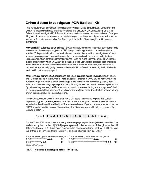 Crime Scene Investigator PCR Basicsâ¢ Kit