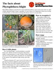 Pcap brochure 03-01-11 - Phytophthora Blight - Cornell