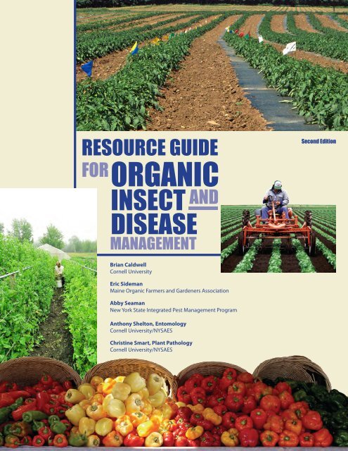 https://img.yumpu.com/39903263/1/500x640/resource-guide-for-organic-insect-and-disease-cornell-university.jpg