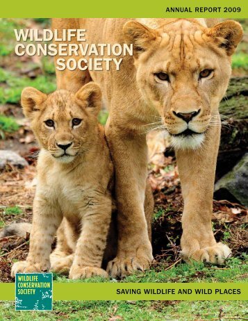 WCS 2009 annual report - Wildlife Conservation Society