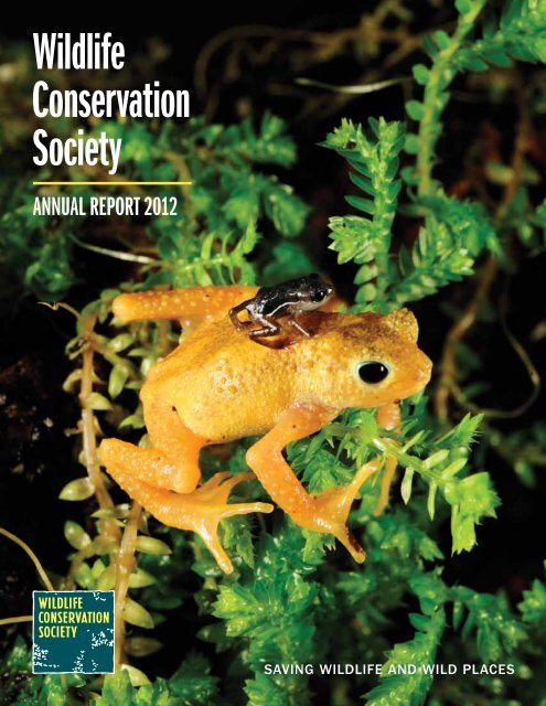 WCS Annual Report 2012 - Wildlife Conservation Society