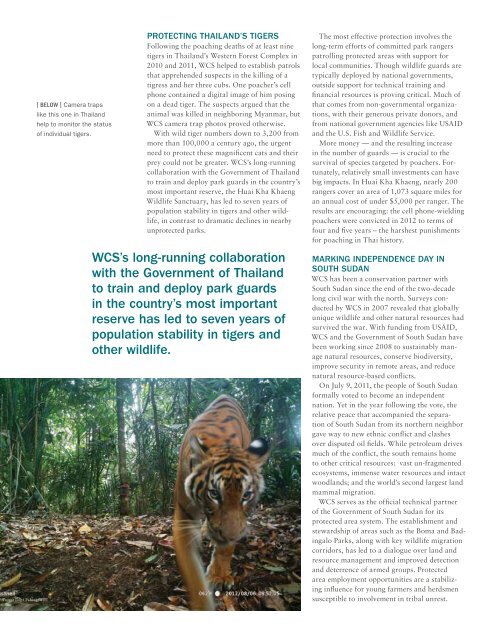 WCS Annual Report 2012 - Wildlife Conservation Society