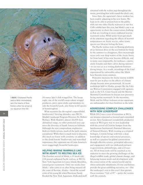 WCS Annual Report 2012 - Wildlife Conservation Society