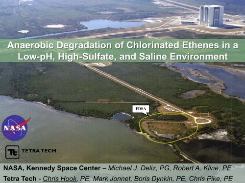 Anaerobic Degradation of Chlorinated Ethenes in a Low-pH, High ...