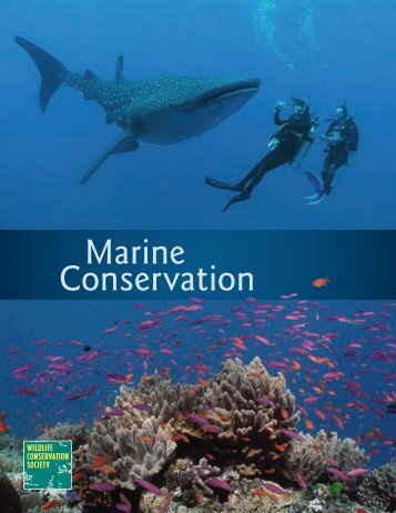 Marine Conservation - WCS Fiji