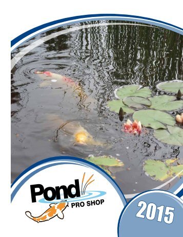 Algae Treatments and Pond Chemicals