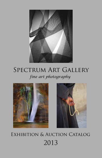 here - Spectrum Gallery