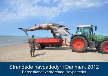 Strandede havpattedyr i Danmark 2012 - Fiskeri- og SÃ¸fartsmuseet