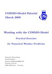 COSMO-Model-Tutorial March 2009 Working with ... - CLM-Community
