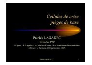 Cellules de crise pièges de base - Patrick Lagadec