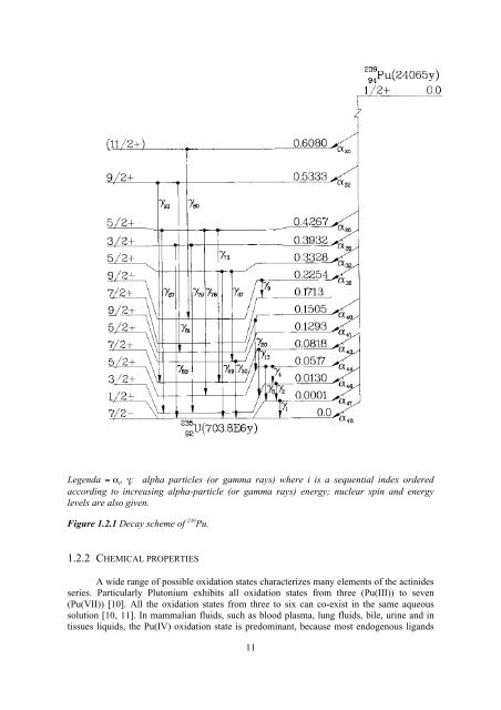 Plutonium Biokinetics in Human Body A. Luciani - Kit-Bibliothek - FZK