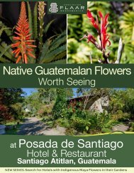 Native Guatemalan Flowers at Posada de Santiago - Maya ...