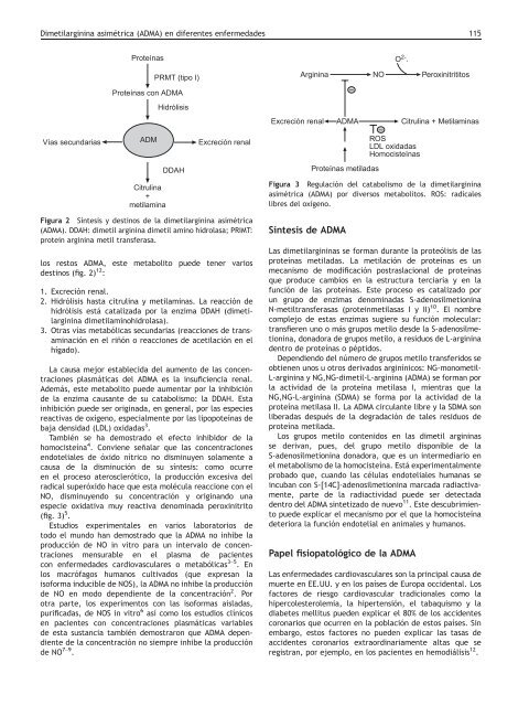 Revista del - AsociaciÃ³n EspaÃ±ola de BiopatologÃ­a MÃ©dica