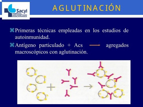 TÃ©cnicas en el laboratorio de autoinmunidad.