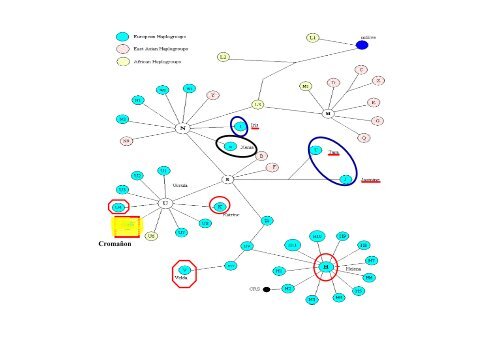 UNA PROPUESTA SOBRE EL ORIGEN DE LA LITIASIS HUMANA