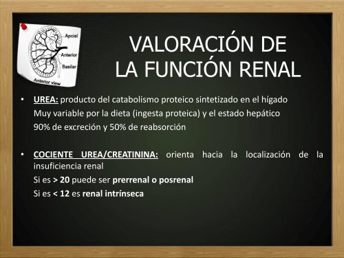 Evaluacion de la funcion renal.pdf