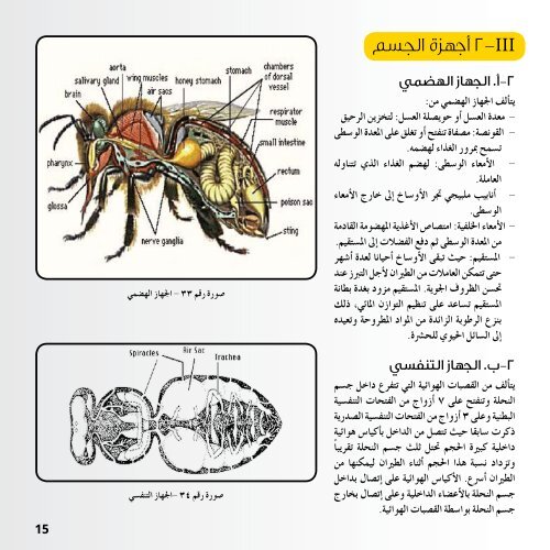 كتاب مرشد النحال ... اضغط هنا للتنزيل