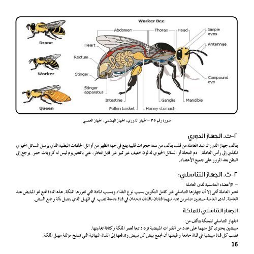 كتاب مرشد النحال ... اضغط هنا للتنزيل