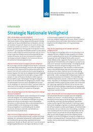 Factsheet Strategie Nationale Veiligheid.pdf