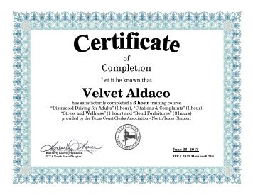 Velvet Aldaco - Texas Court Clerks Association