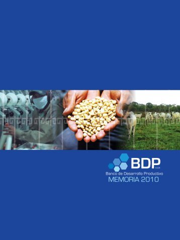 memoria2010.pdf - Banco de Desarrollo Productivo