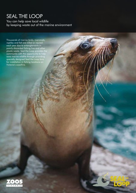 Read more about Seal the Loop (255.45 KB) - Zoos Victoria