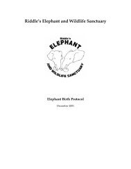 BIRTH PROTOCOL - Elephant Care International