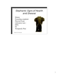 Elephants: Signs of Health and Disease - Elephant Care International