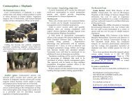 new brochure - Elephant Care International