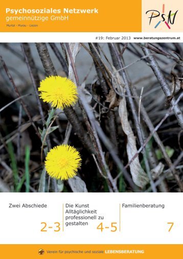 Ausgabe Jaenner 2013 (pdf) - Psychosoziales Netzwerk