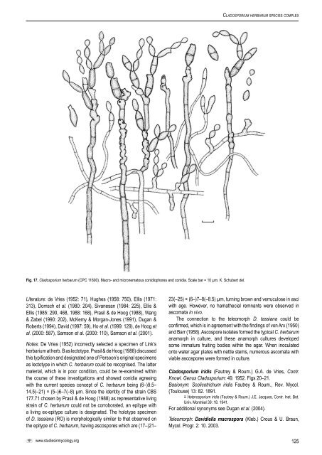 The genus Cladosporium and similar dematiaceous ... - CBS - KNAW