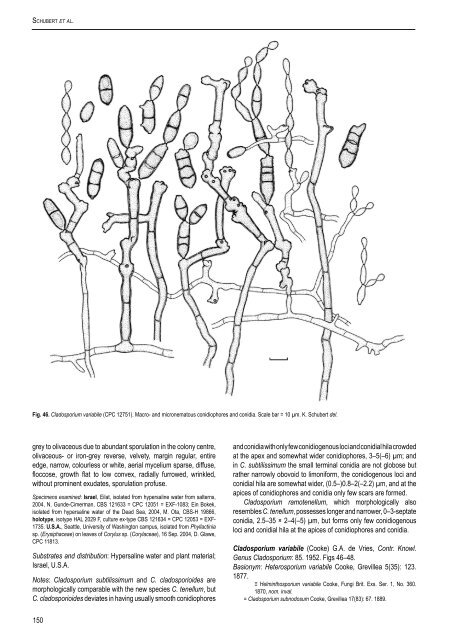 The genus Cladosporium and similar dematiaceous ... - CBS - KNAW