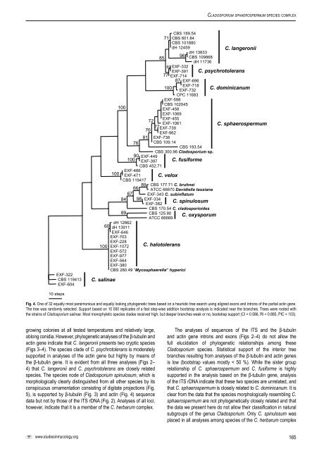The genus Cladosporium and similar dematiaceous ... - CBS - KNAW