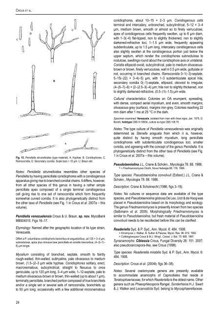 The genus Cladosporium and similar dematiaceous ... - CBS - KNAW