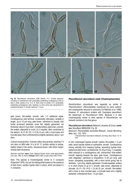 The genus Cladosporium and similar dematiaceous ... - CBS - KNAW