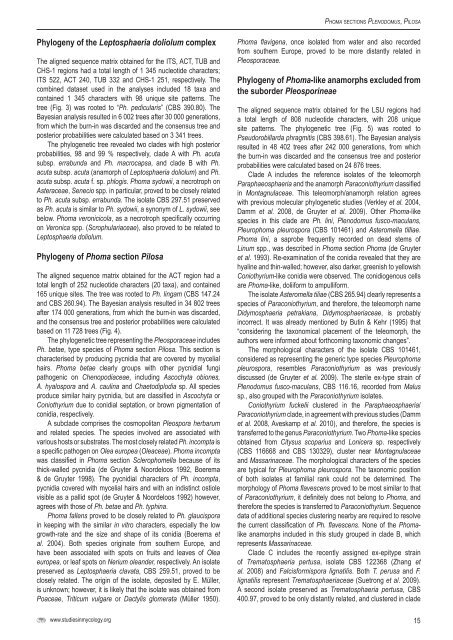 redisposition of Phoma-like anamorphs in Pleosporales - CBS - KNAW