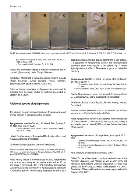 Leaf-inhabiting genera of the Gnomoniaceae, Diaporthales - CBS