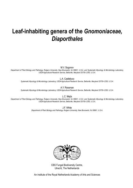 Leaf-inhabiting genera of the Gnomoniaceae, Diaporthales - CBS