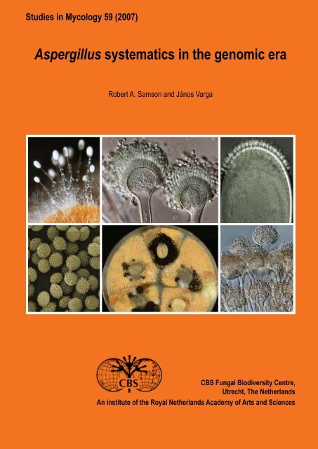 Aspergillus systematics in the genomic era - CBS - KNAW