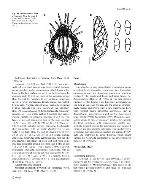 Pleosporales - CBS - KNAW