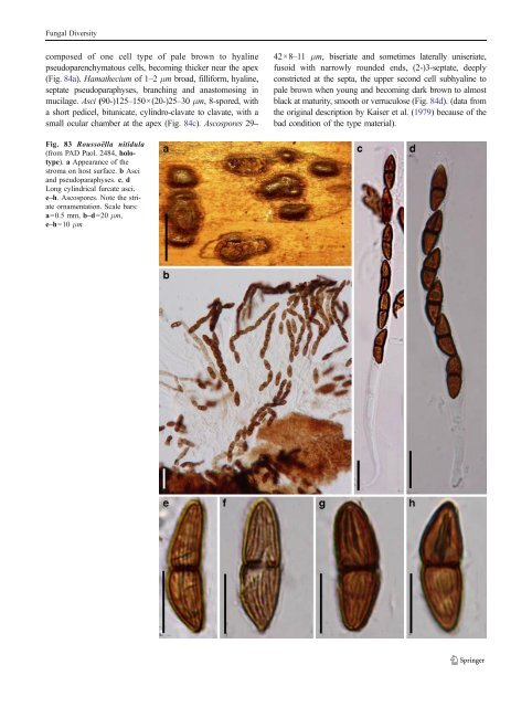 Pleosporales - CBS - KNAW