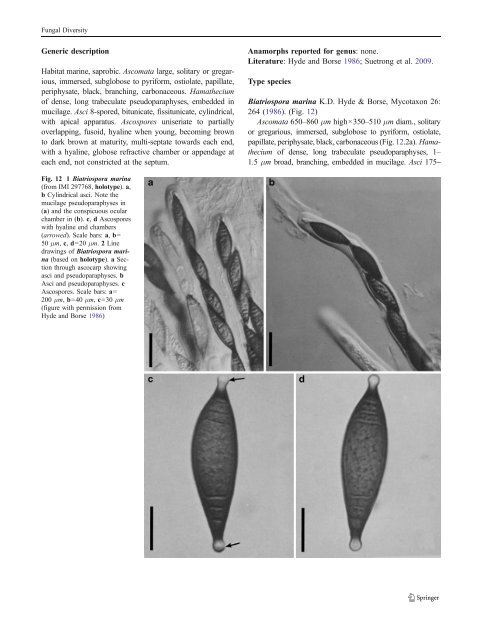 Pleosporales - CBS - KNAW